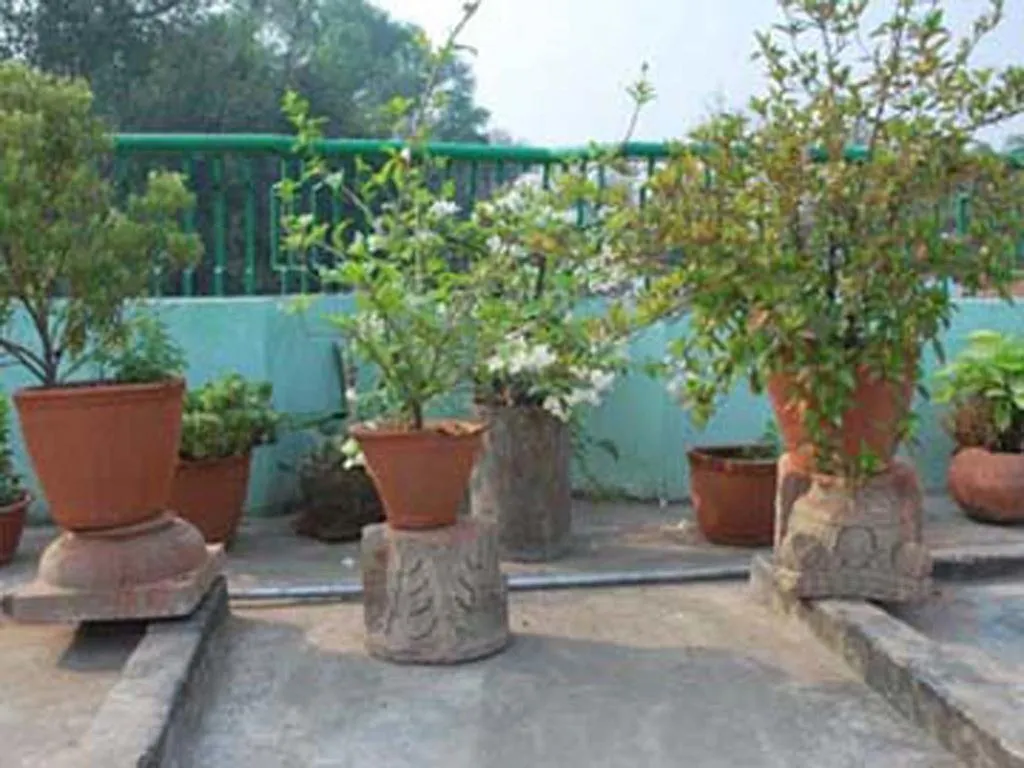Ganges View Guest House Varanasi 0*,  Índia